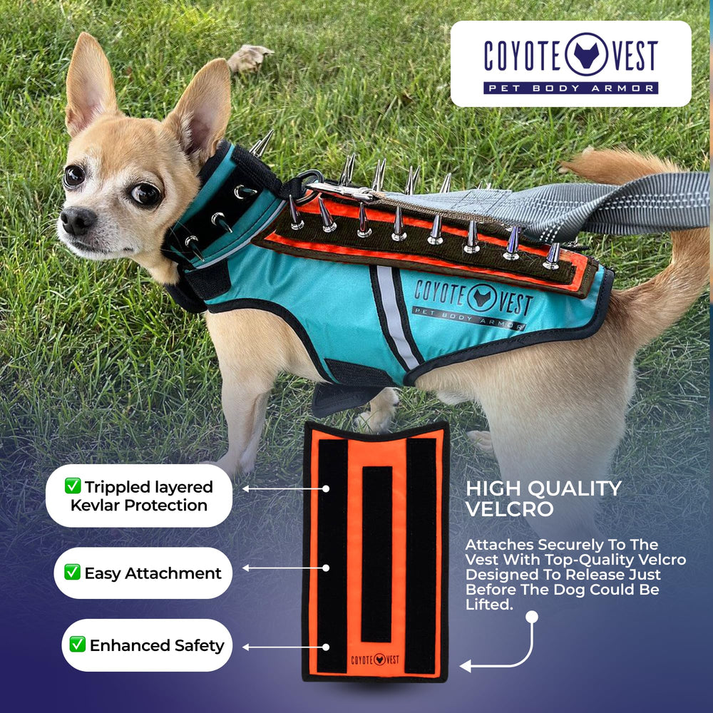 Tailles XS adaptées aux petits chiens et Harnais CoyoteVest.