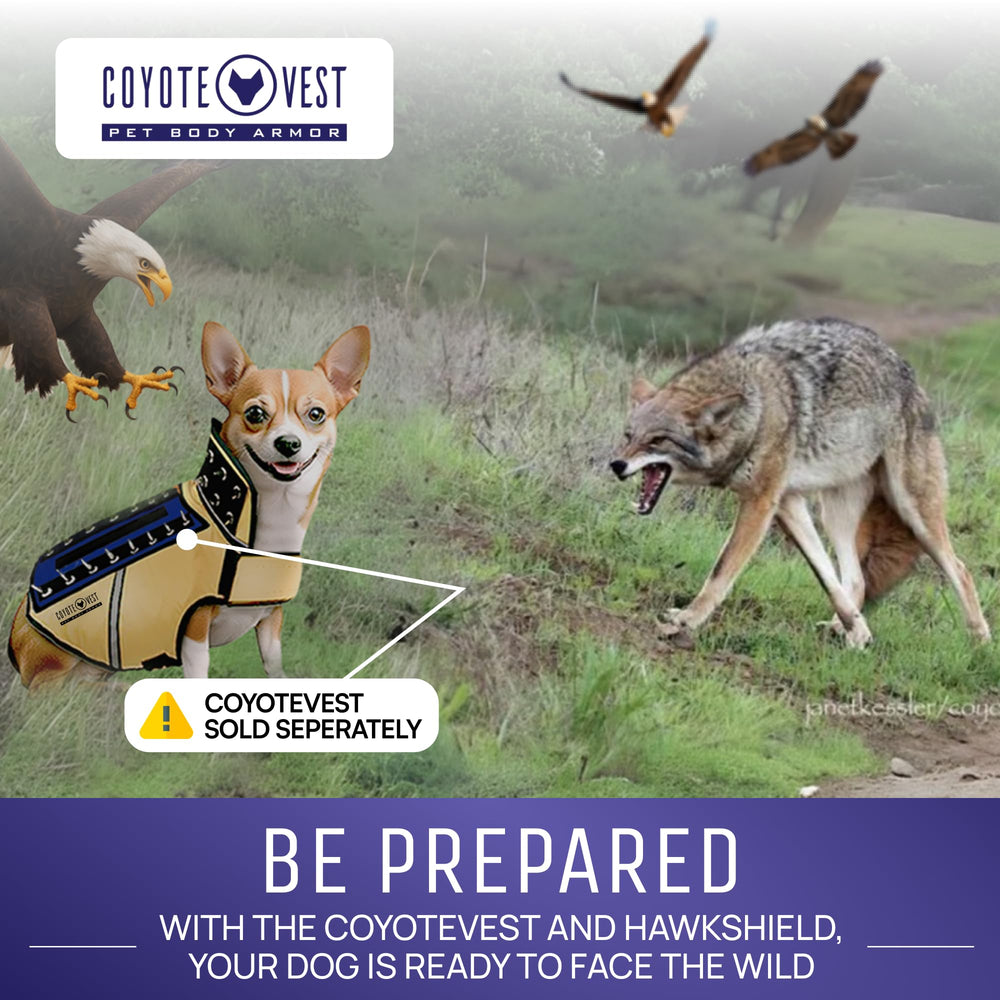 HawkShield se détache rapidement lors d'une tentative d'envol pour libérer le chien.