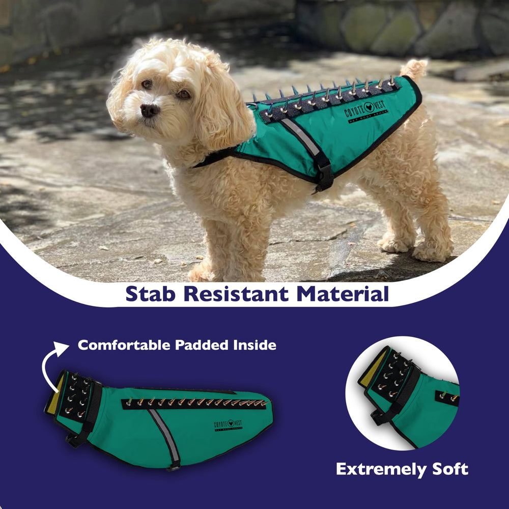 CoyoteVest spikes amovibles dos, défense ajustable pour situations d'attaque.