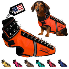 CoyoteVest SpikeVest pour petit chien face orange, meilleure visibilité nocturne.