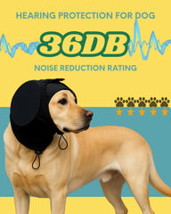 COZINUS casque pour chien, ajustement facile et confort.
