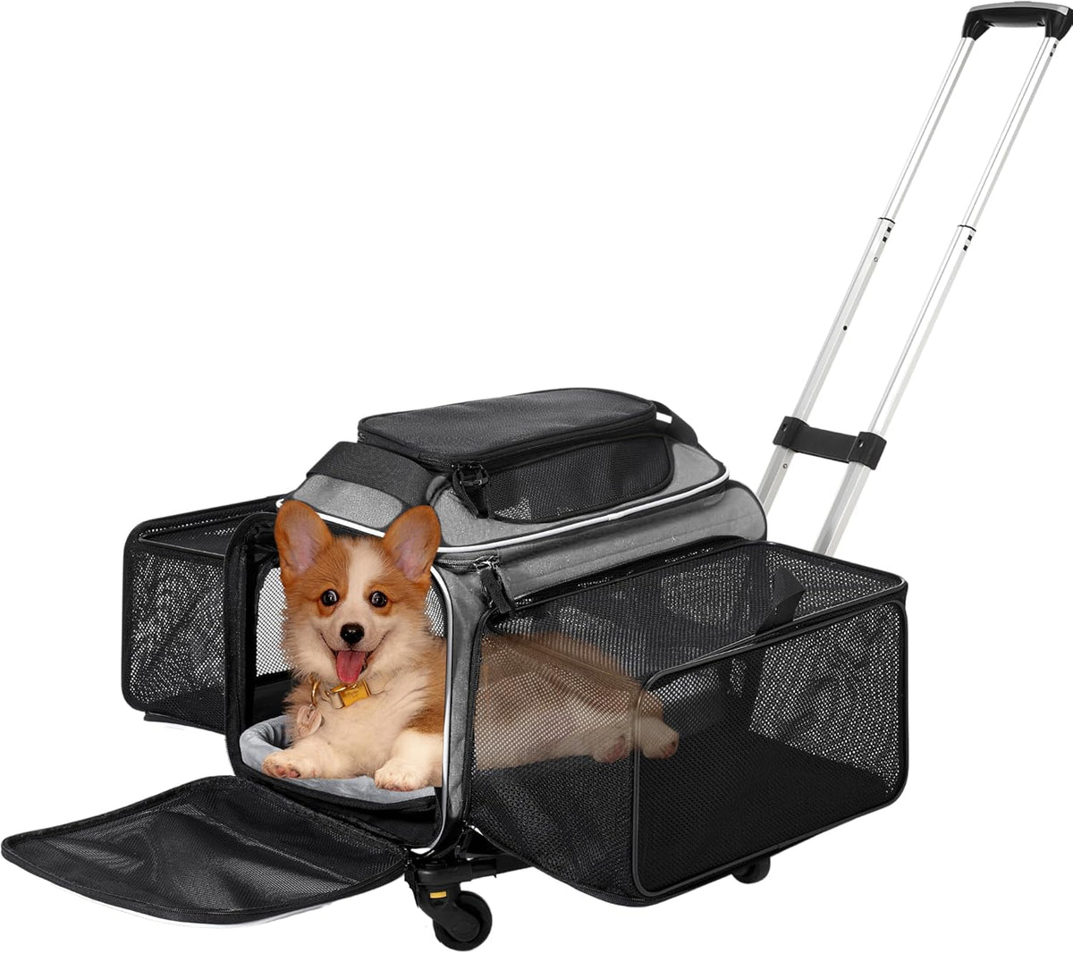 Cozy Cruiser transporteur animal avec roues, idéal pour les trajets en avion.
