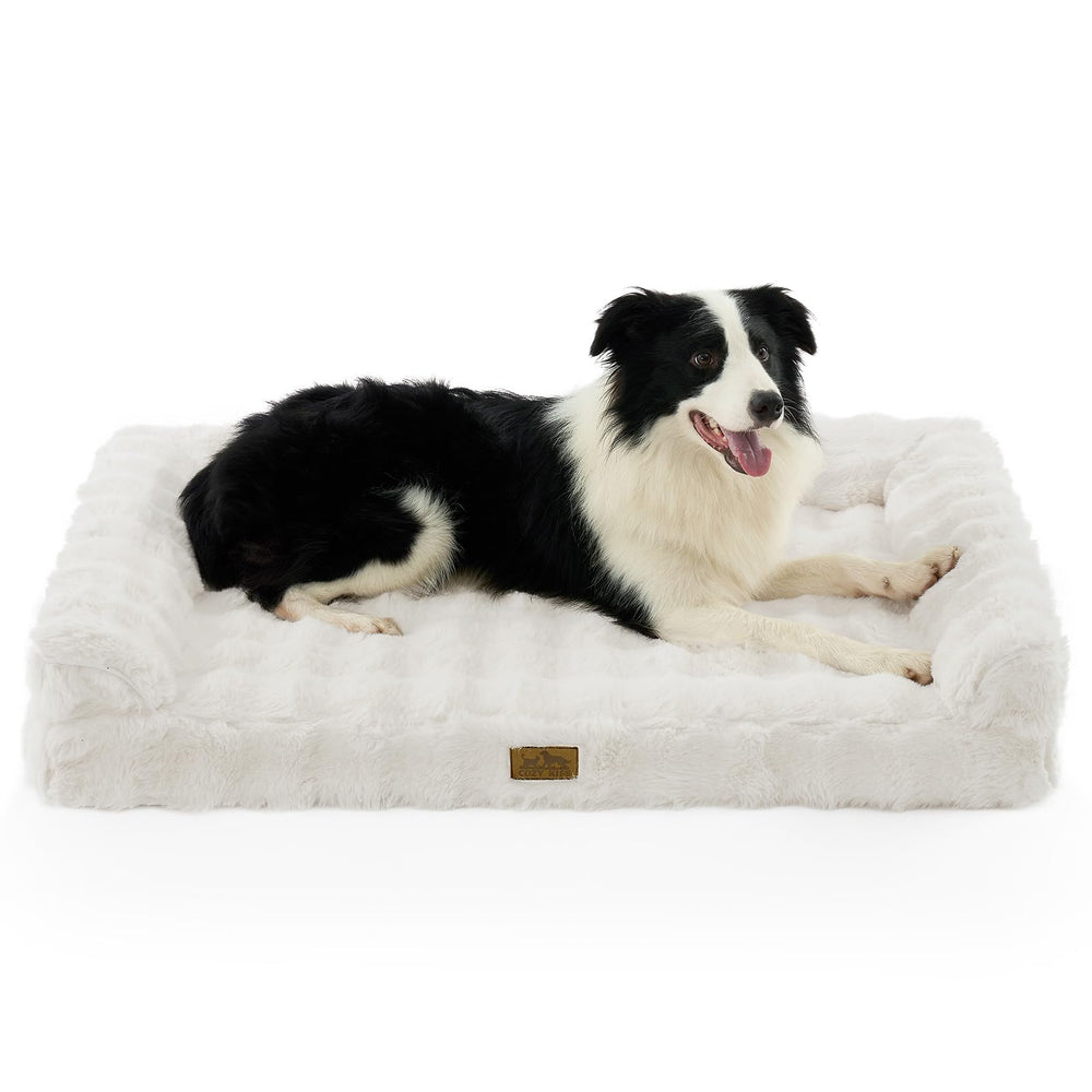 COZY KISS canape-chien orthopédique XL en beige offrant soutien et confort.