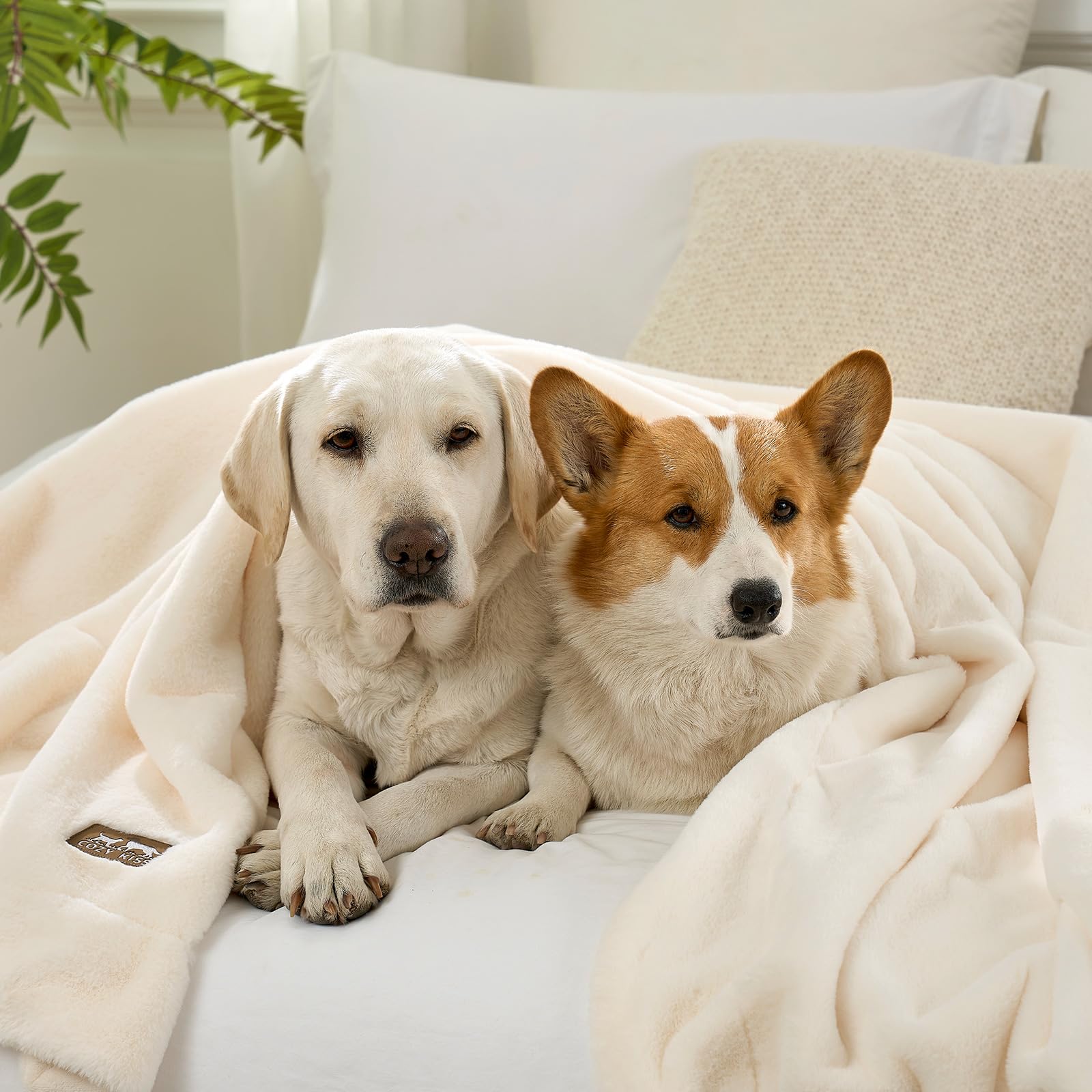 Utilisation polyvalente COZY KISS dans la maison pour canapé et lit.