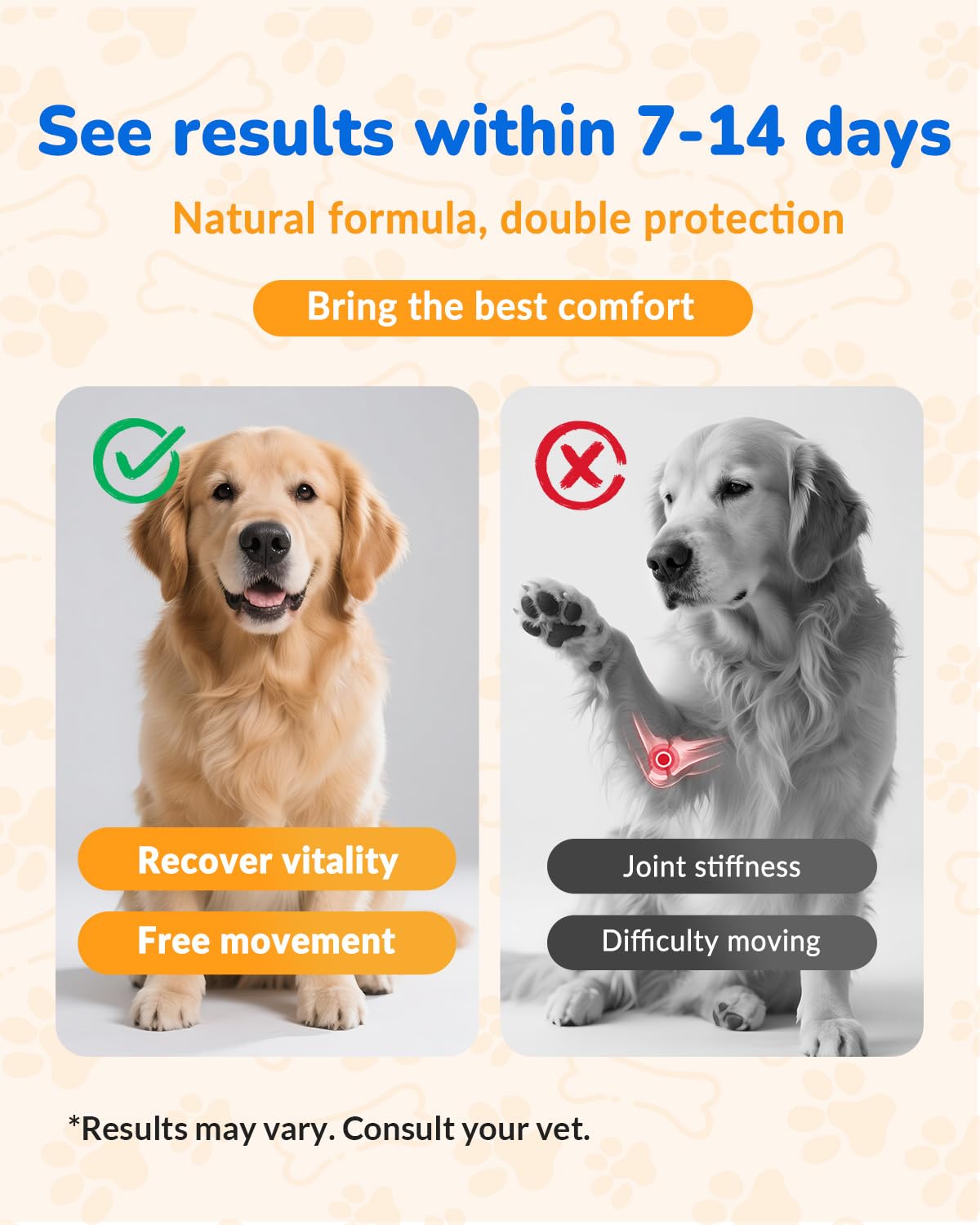 Cozyfun probiotiques chien, soutien digestion et absorption des nutriments.