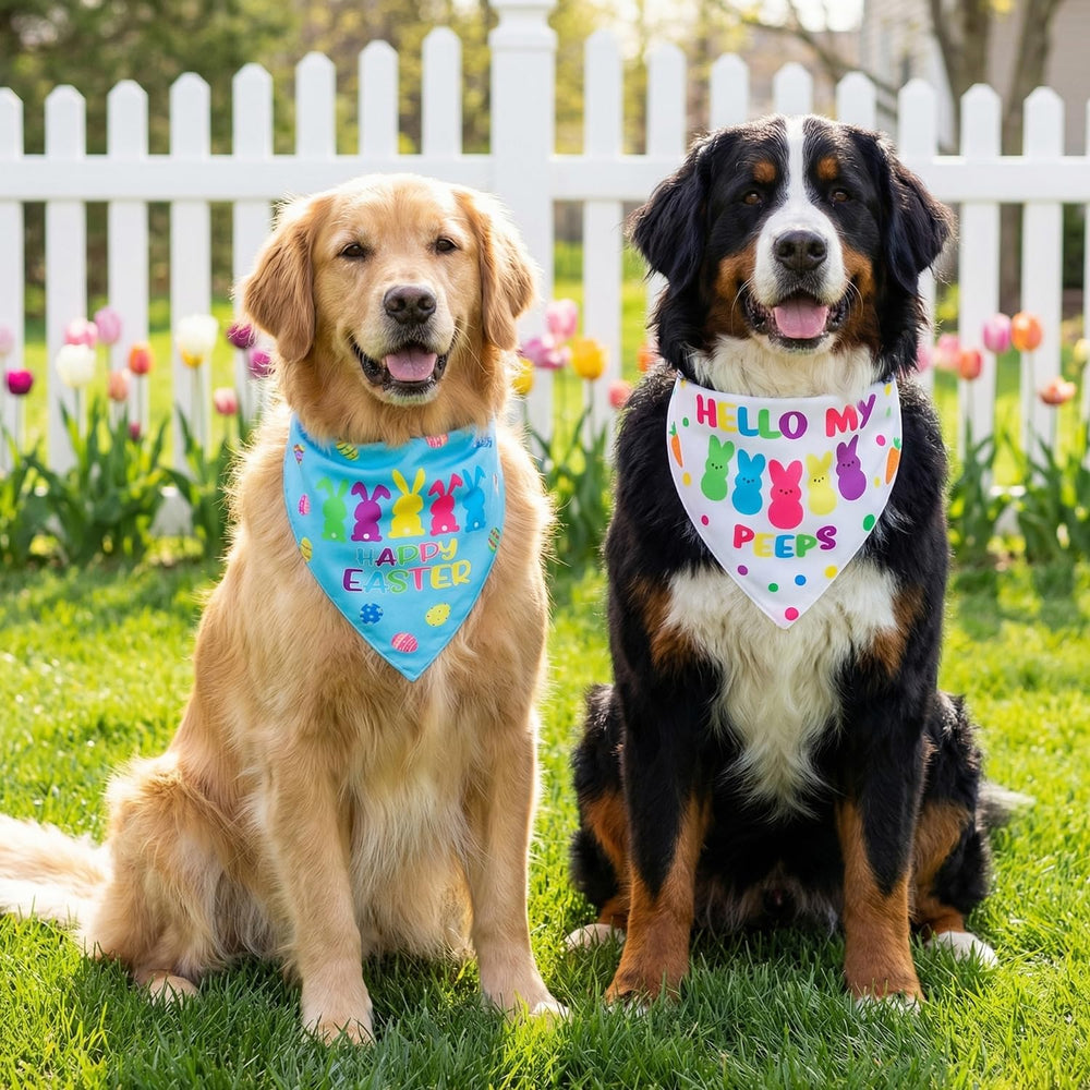 Bandana CozyHaus pour chien ensemble de deux bandanas, prêt pour Pâques.