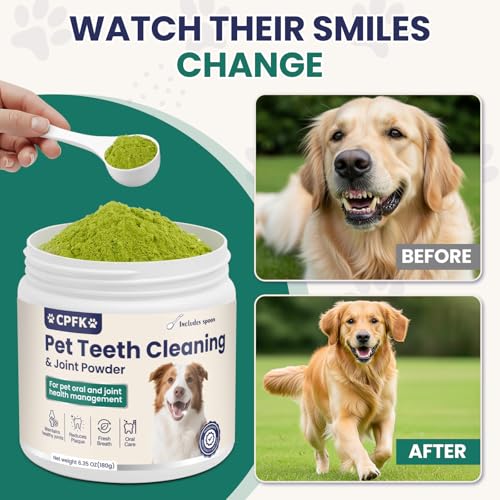 CPFK arôme menthe dent chien – goût frais sans effort pour les routines quotidiennes.