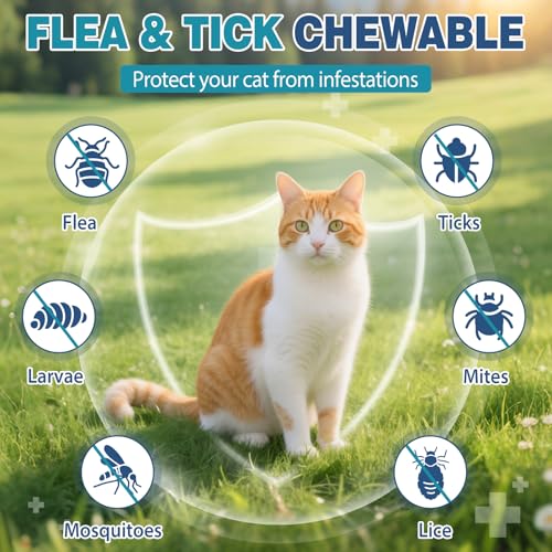 CPFK forme masticable chat, administration facile et rapide.