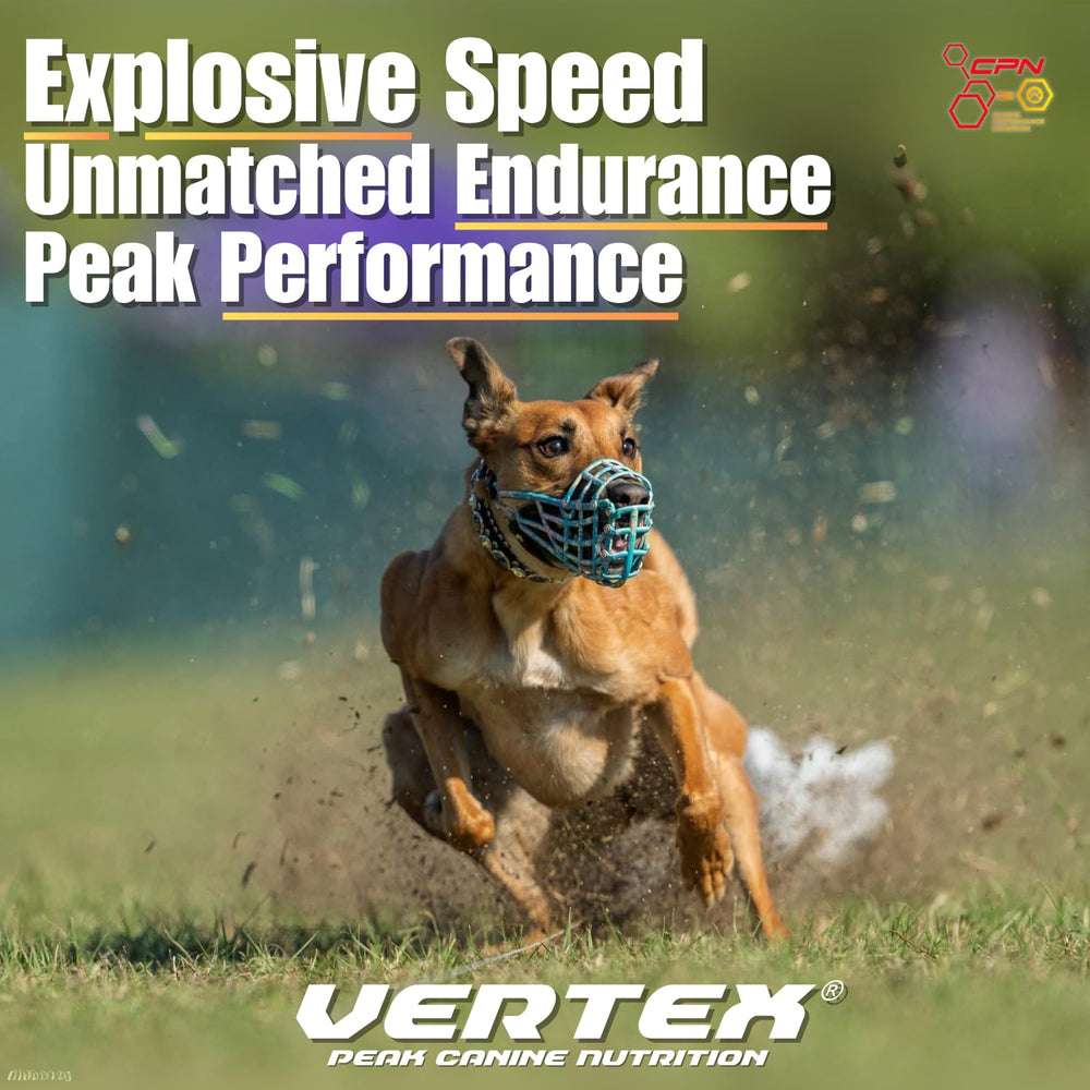 Vertex proteine-oeuf: proteine fiable pour chiens en activité.