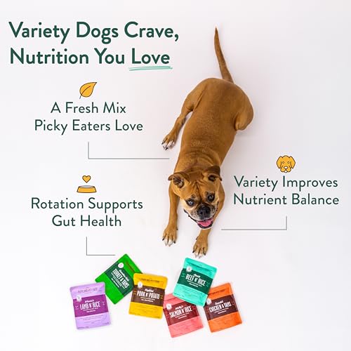 Rosie’s Beef N' Rice – Poche repas humain: nutrition simple et réelle pour chiens.