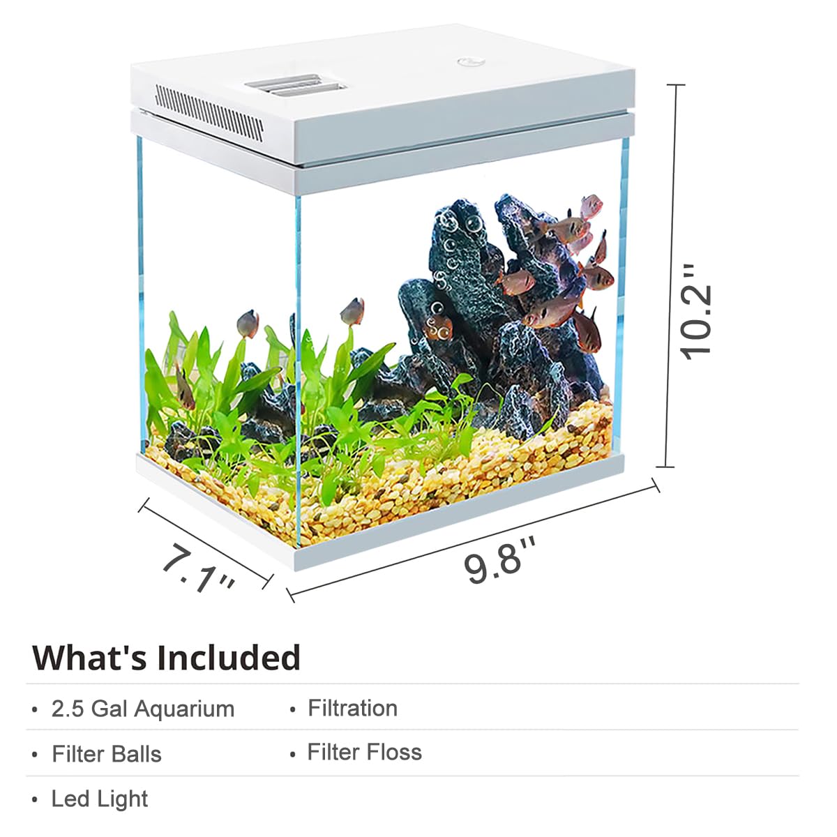 Craftsboys nano-aquarium 2,5 Gal – couvercle: fermeture sécurisée et pratique