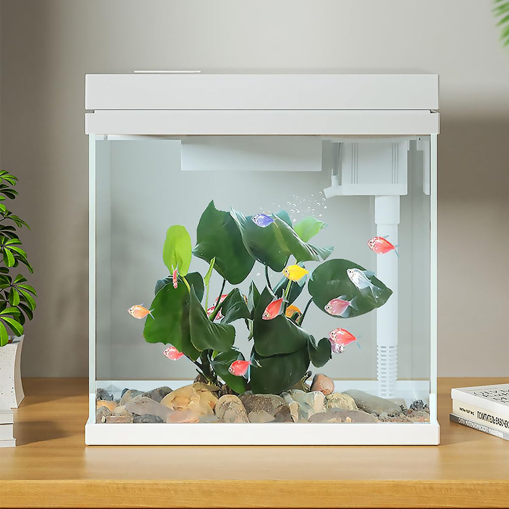 Craftsboys nano-aquarium 2,5 Gal – design compact: parfaite harmonie visuelle