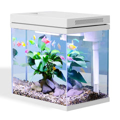Craftsboys nano-aquarium 2,5 Gal – face avant: design compact pour petits espaces
