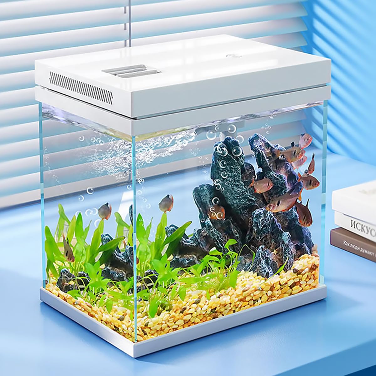Craftsboys nano-aquarium 2,5 Gal – système filtration: eau stable pour poissons
