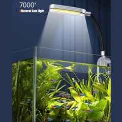 Éclairage LED COB du kit Craftsboys nano 1,5 gallon pour coloration naturelle des plantes.