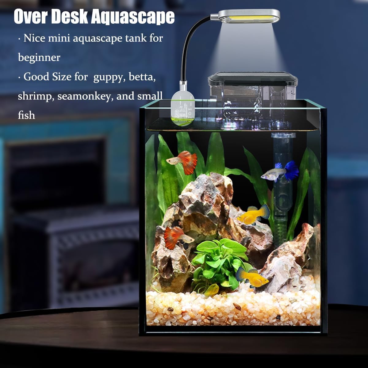 Habitat pour Betta avec Craftsboys nano 1,5 gallon et espace de vie réduit.