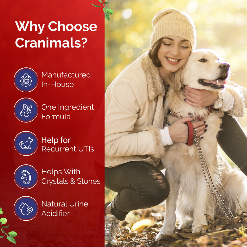 Cranimals: poudre organique sans additifs, sécurité pour chiens et chats.