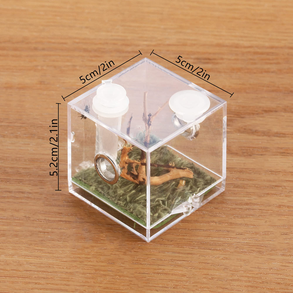 Boîte Crapelles d'élevage d'insectes transparente, parfaite pour observation et démarrage.