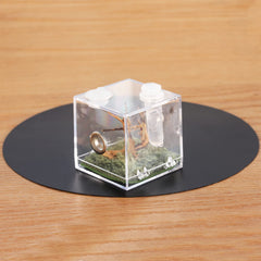 Cage acrylique Crapelles pour petits reptiles et animaux, vue claire et intégrité du habitat.
