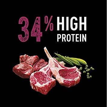 CRAVE sac 10 kg — pratique pour les repas quotidiens.