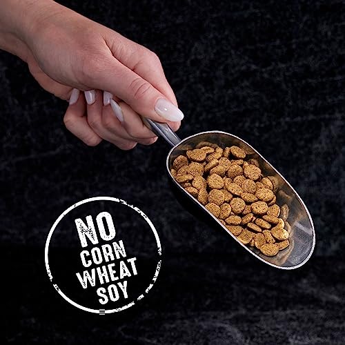 CRAVE alimentation quotidienne complete pour chat adulte.