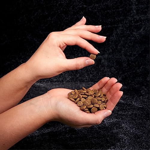 CRAVE mode d'alimentation pratique pour chats d'interieur.