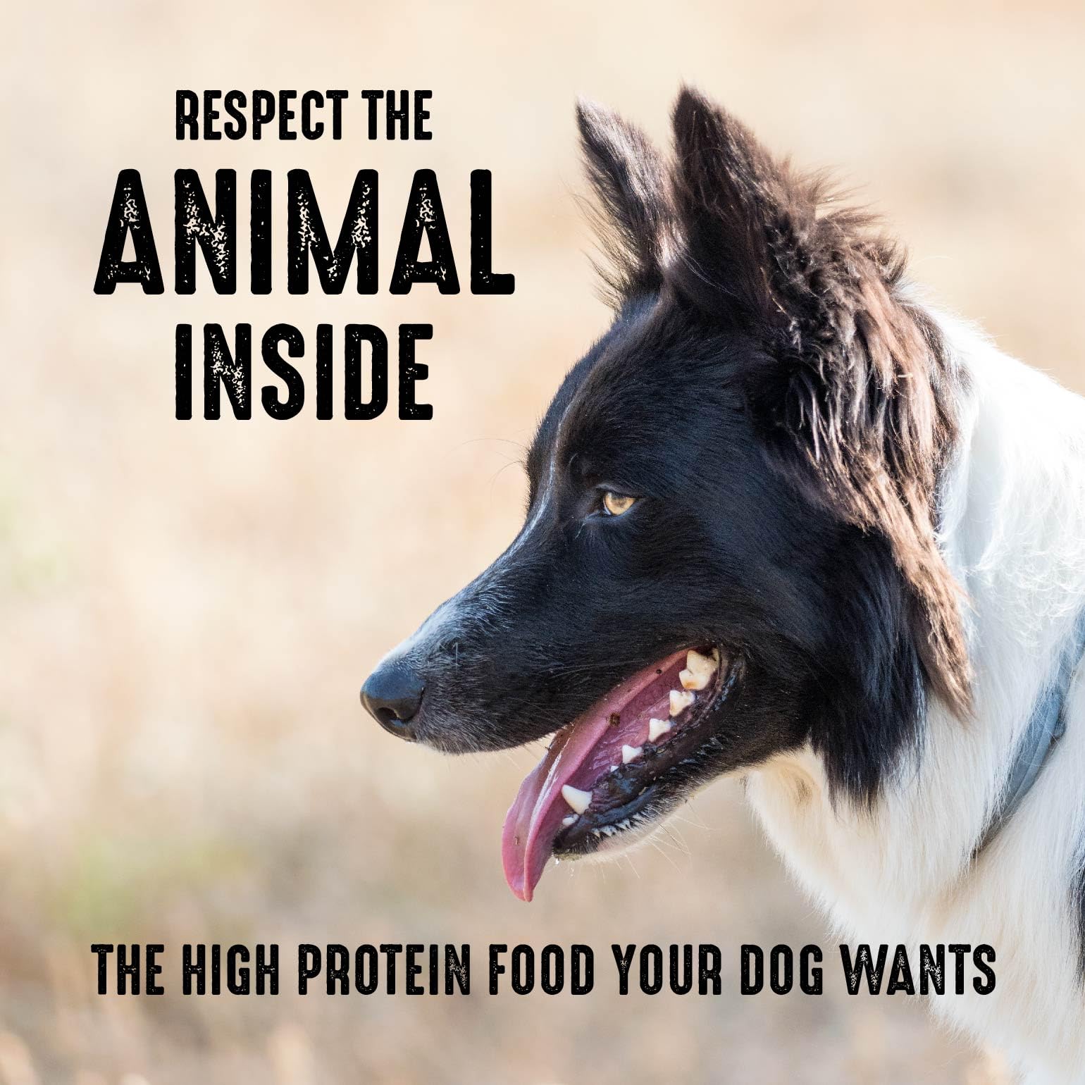 CRAVE pois energie source glucides chien