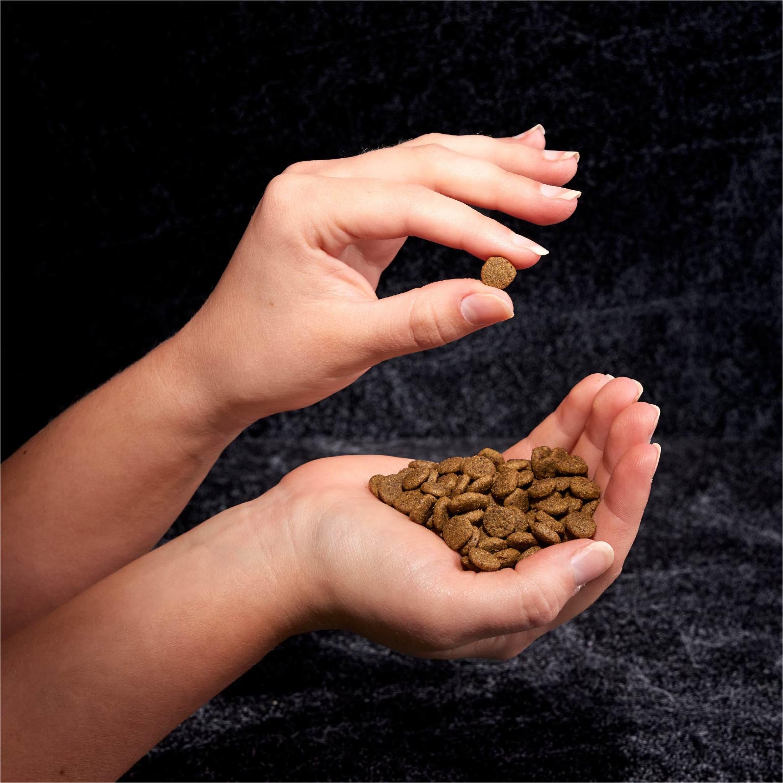 Saveur et texture qui stimulent l’appétit des chats exigeants CRAVE.