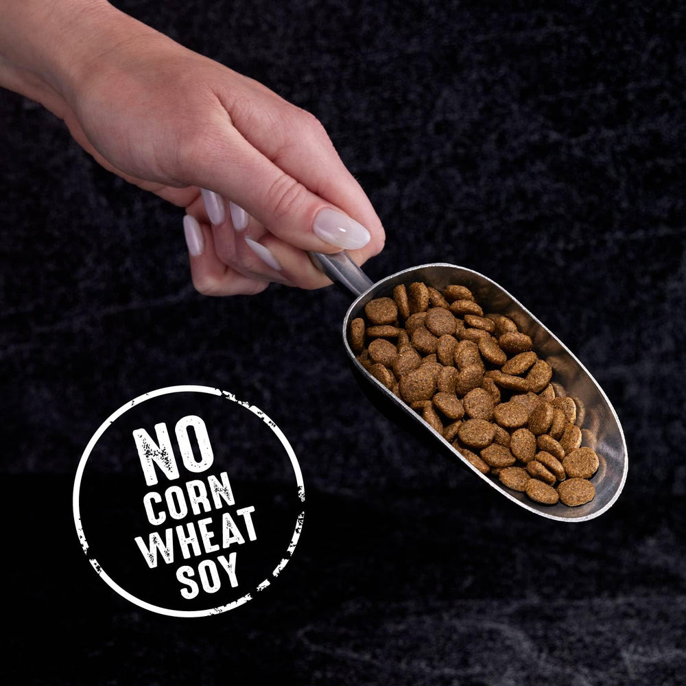 Sac CRAVE de 2 lb, pratique pour l’alimentation quotidienne du chat.