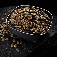 CRAVE sans céréales — ingrédients de qualité, sans mais, ble ni soja.