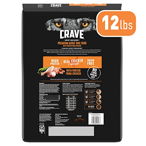 CRAVE sans cereales proteine boeuf chien adulte