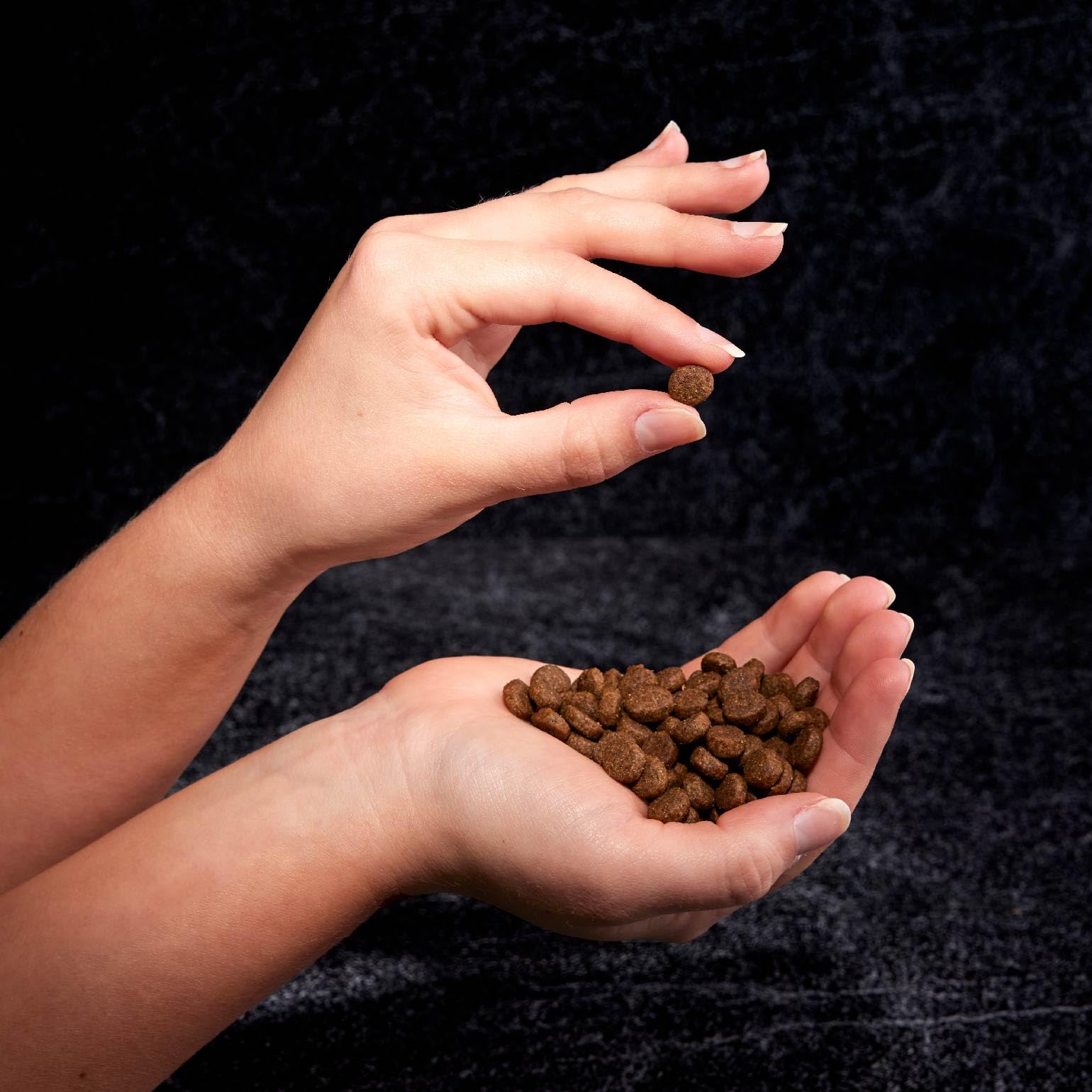 CRAVE saveur naturelle de viande pour l'appétit.