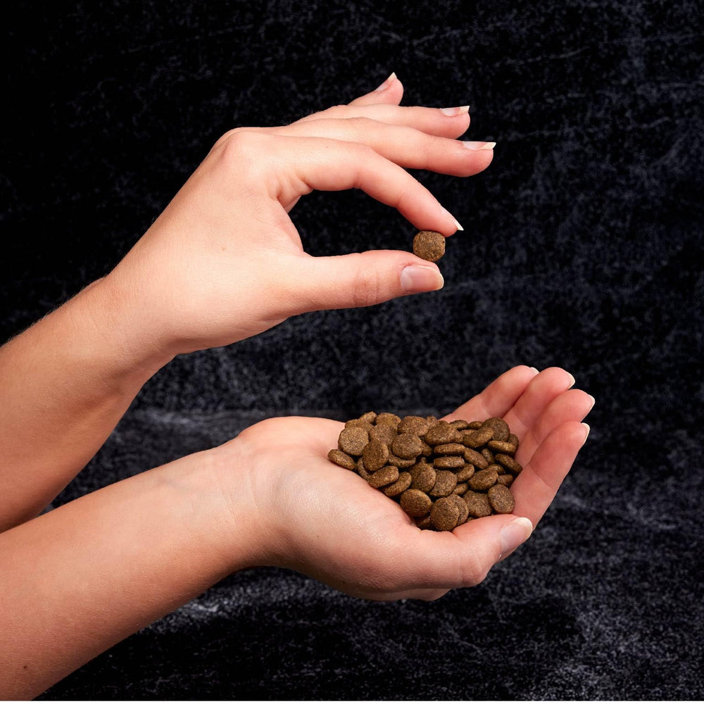 Texture croquante et goût attractif pour l’alimentation quotidienne.
