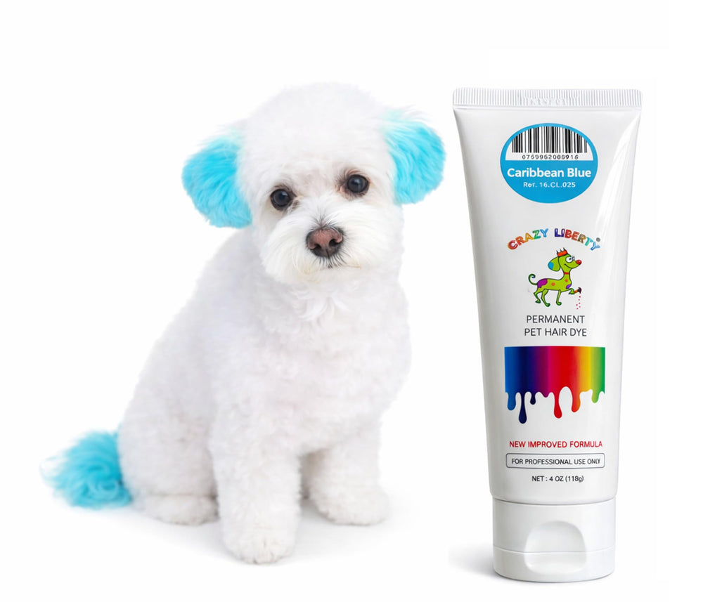Crazy Liberty teinture poils chien-cheval bleu caraibe, couleur durable.