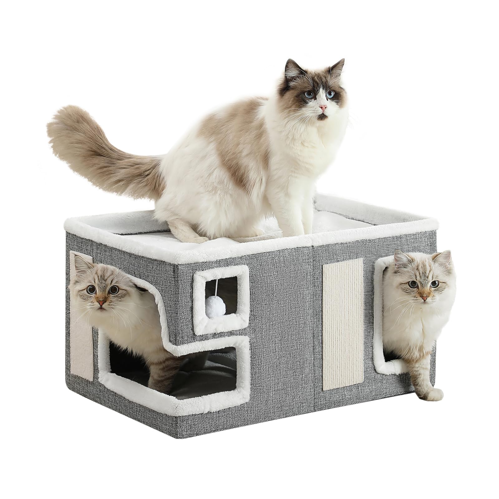 Crispedia grande maison chat intérieur : espace sûr et spacieux pour se détendre.