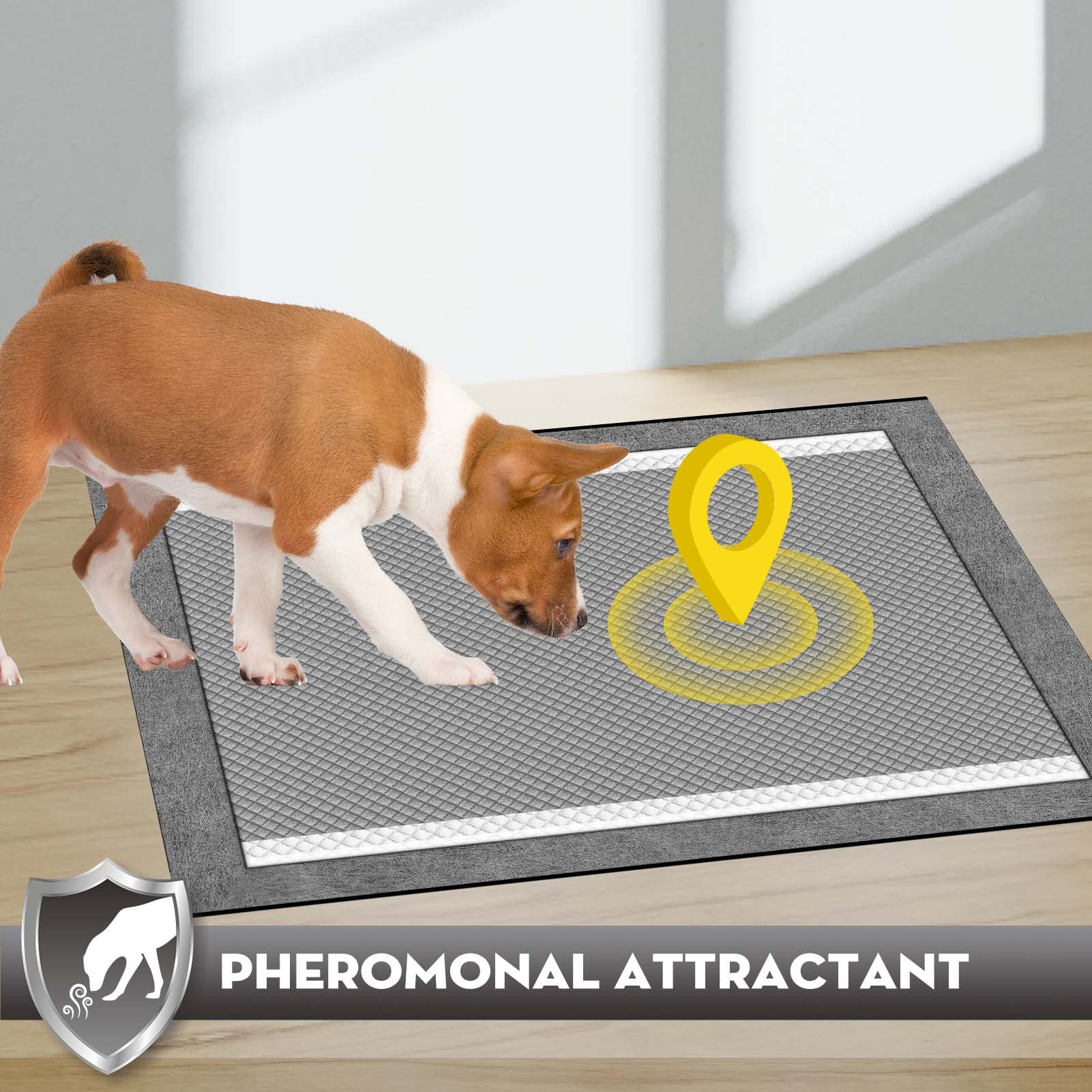Croci Charcoal Puppy Pad - tailles multiples pour tous les chiens.