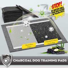 Croci tapis potty pads XXL 30x36 — contrôle des odeurs grâce au charbon actif, intérieur plus frais