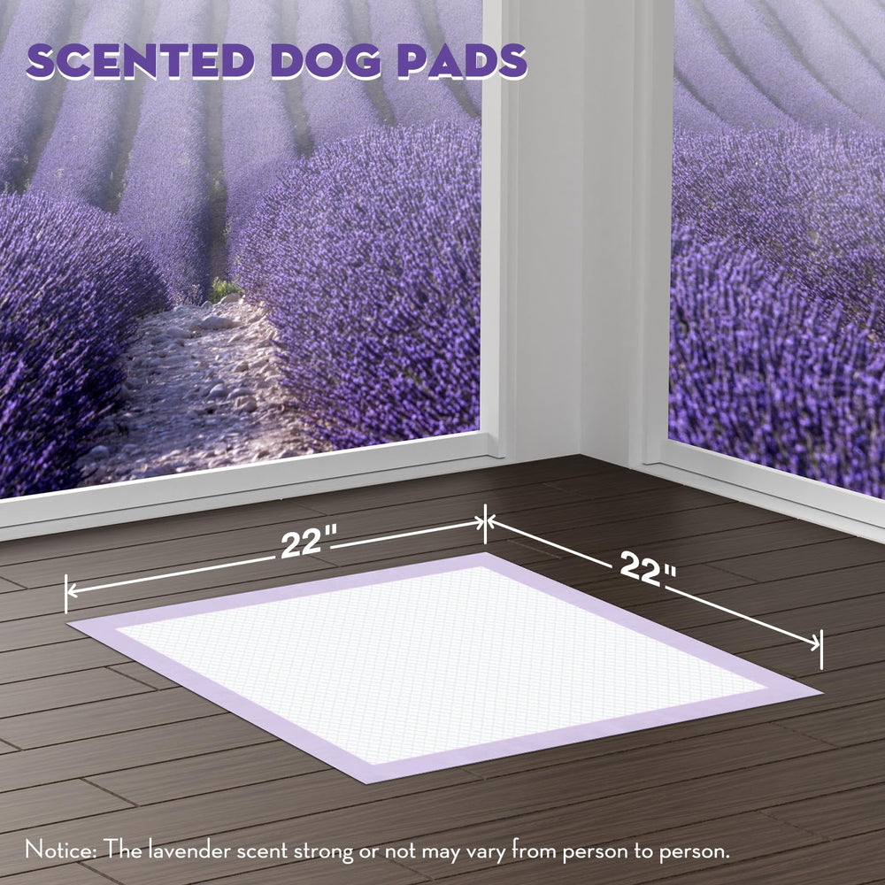 Croci Puppy Pads 22x22in onglets adhesifs fixent facilement sur sol ou mur pour stabilité.