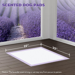 Croci Puppy Pads 22x22in onglets adhesifs fixent facilement sur sol ou mur pour stabilité.