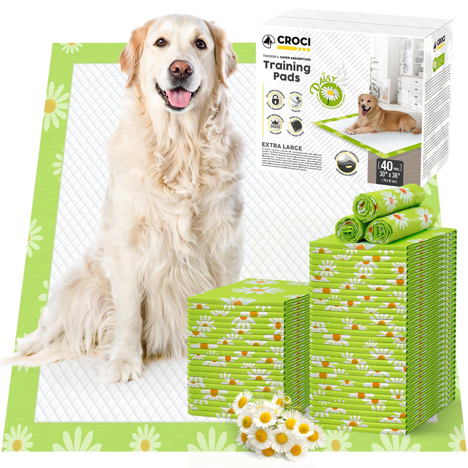 Tapis absorbant Croci Daisy pour chien, idéal pour l entraînement et la protection des sols.