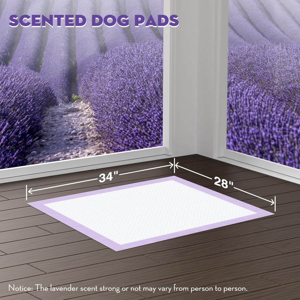 Croci protège-tapis pour chien grand format utile au quotidien et sols propres