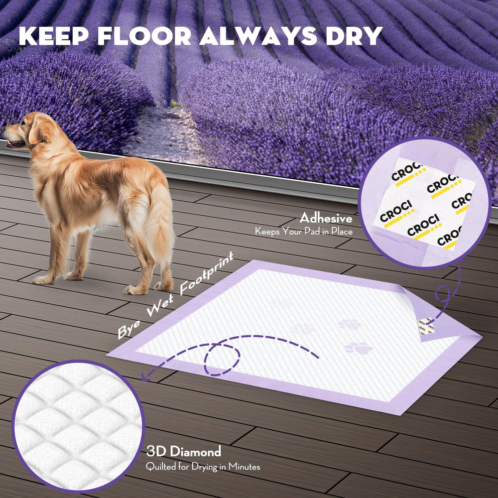 Grand choix de tailles dont 28x34 pour s’adapter à votre chien