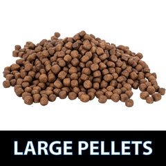 Pellets CrystalClear 5 mm pour poisson-rouge, soutiennent couleur et vitalité.