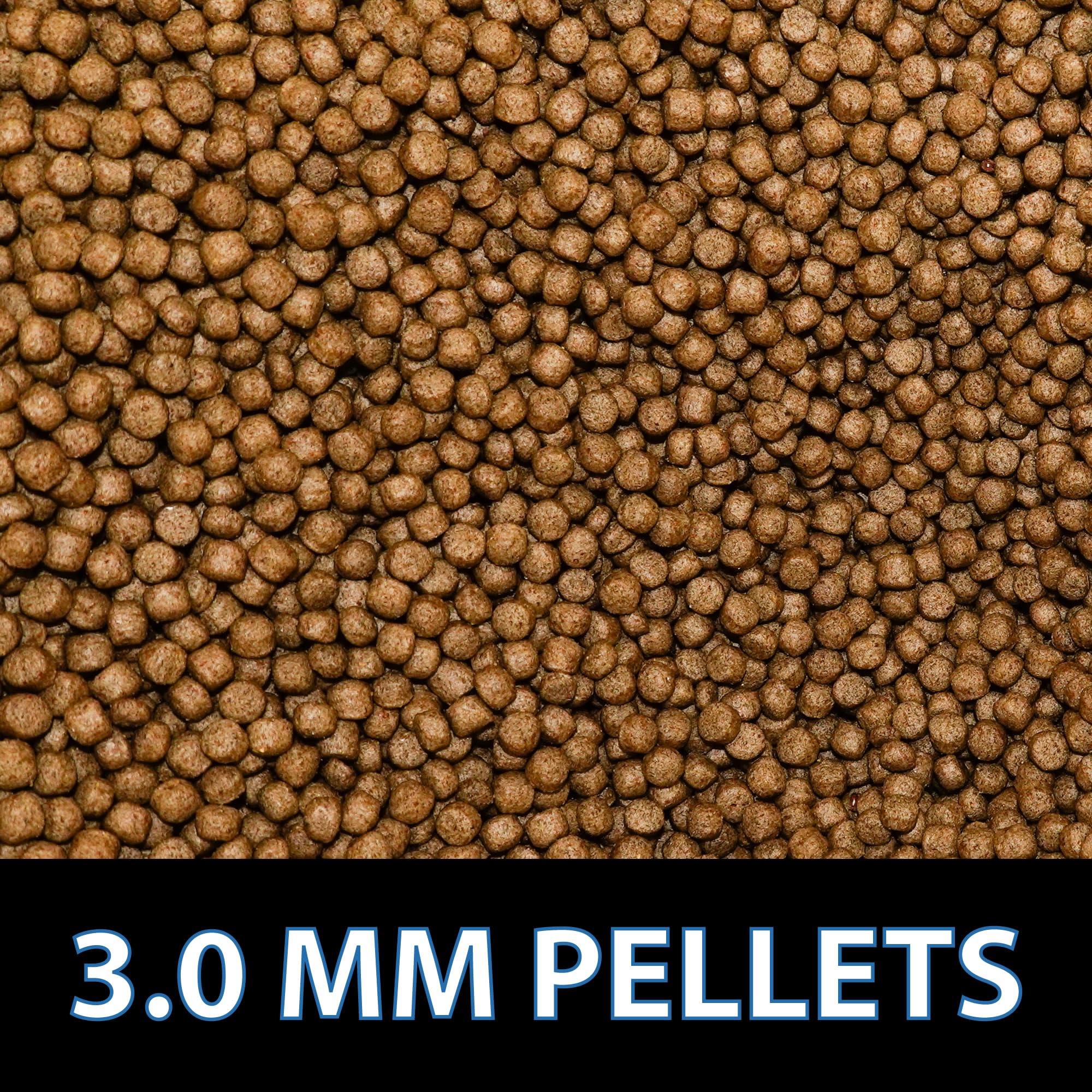 CrystalClear Staple formule ete pour bassin assurant une alimentation équilibrée.