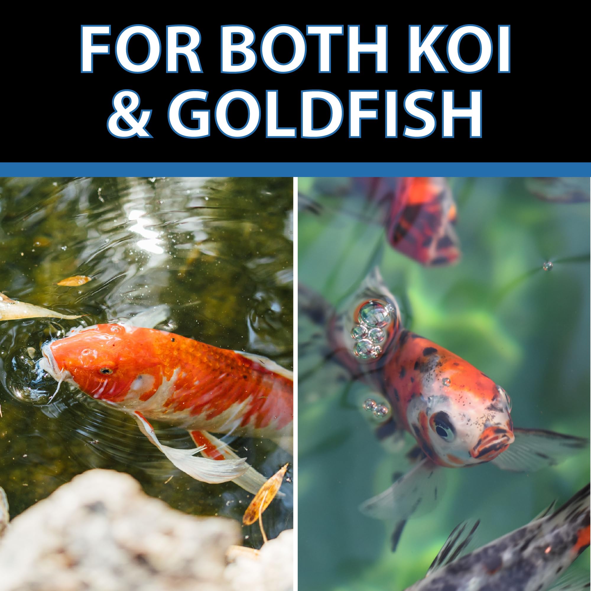 CrystalClear Staple adapté aux koi et poissons rouges dans le bassin.