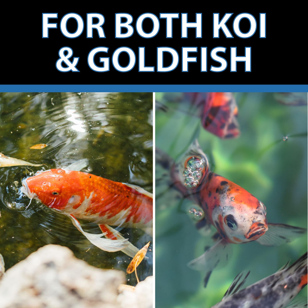 CrystalClear Staple adapté aux koi et poissons rouges dans le bassin.