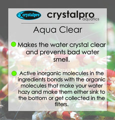 Crystalpro Aqua Clear eau claire après traitement améliore l’apparence.