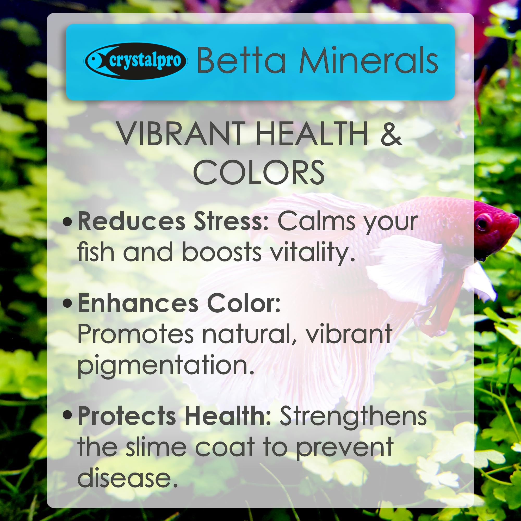 Gouttes mesurées Crystalpro Betta Minerals pour dosage hebdomadaire fiable.