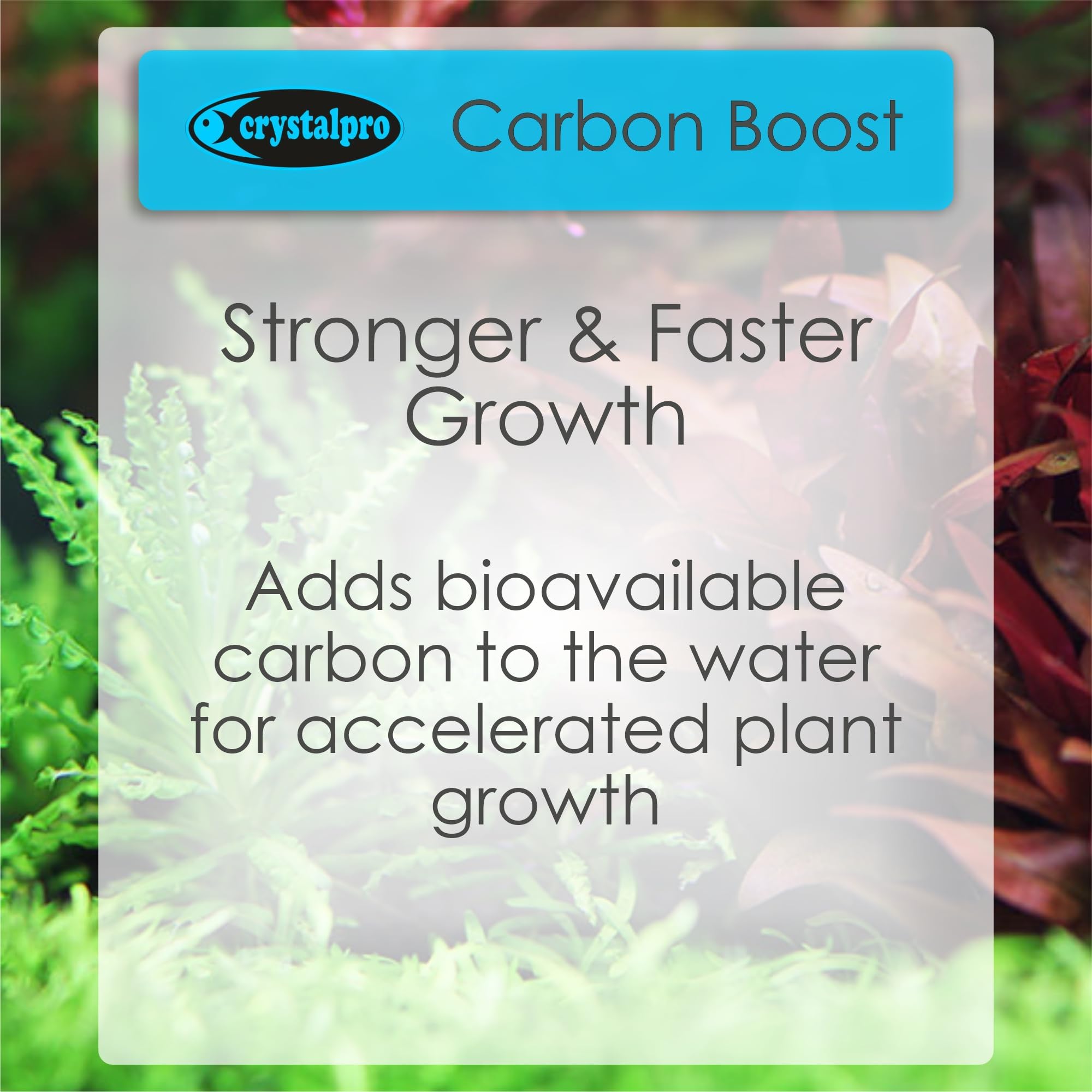 Utilisation de Crystalpro Carbon Boost comme substitut CO2 dans un bac planté.