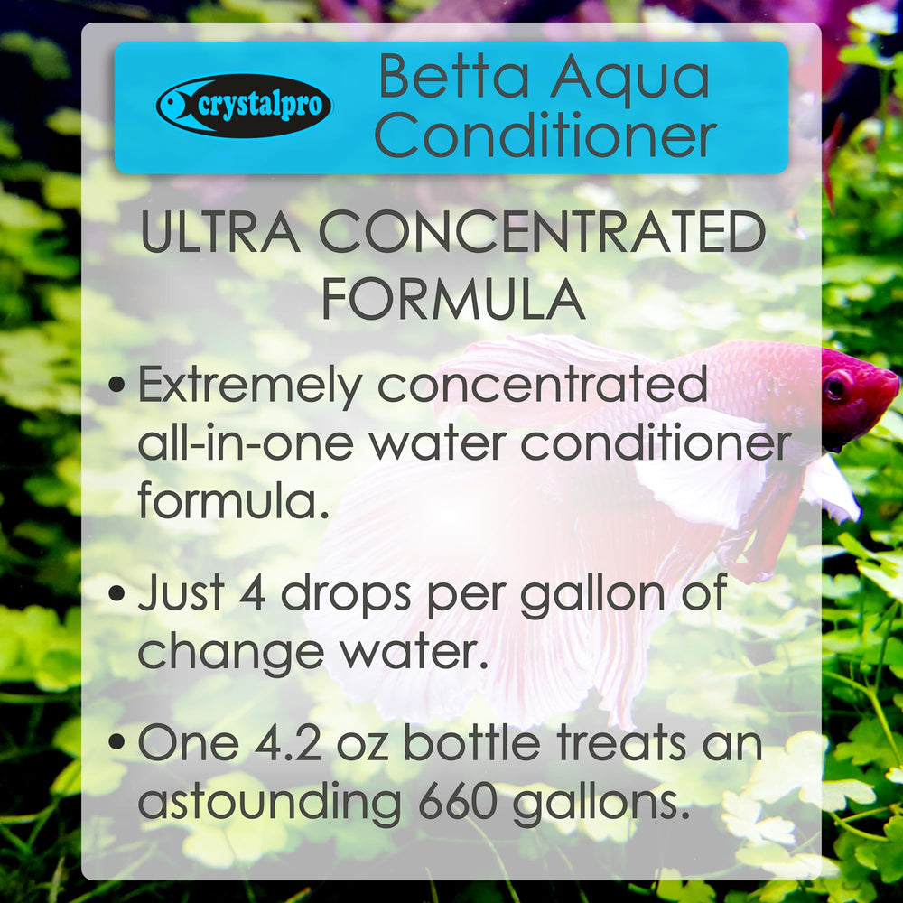 Eau du robinet traitée par Crystalpro Betta pour un betta plus serein.